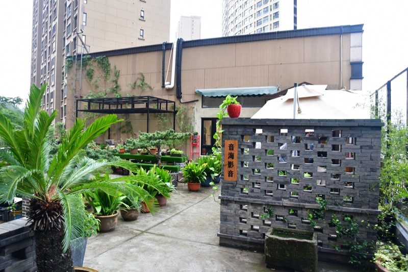 dali kore 君临音箱试听 (达尼dali kore君临多少钱)