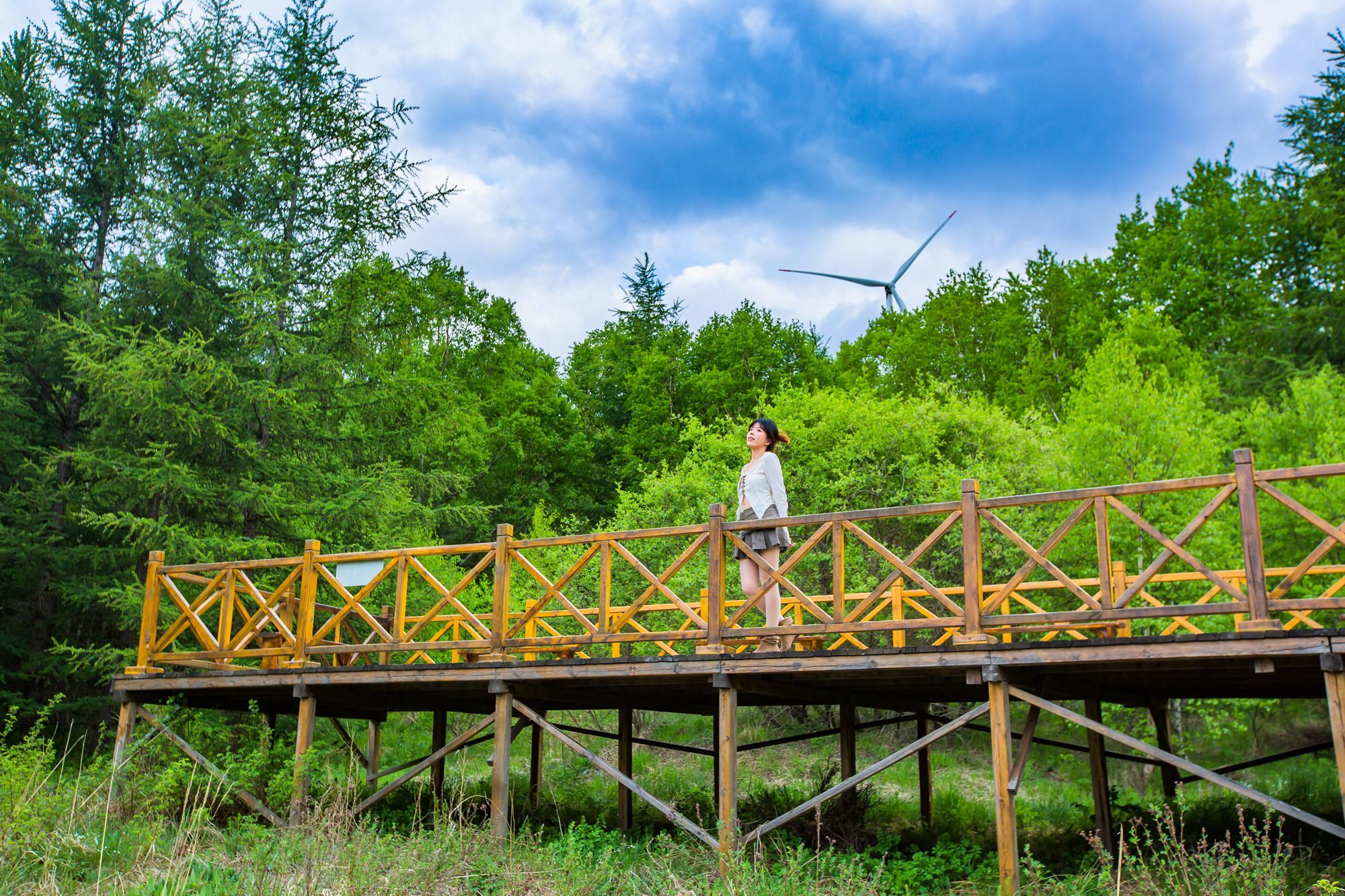 丰宁坝上七彩森林游玩攻略,丰宁坝上七彩森林
