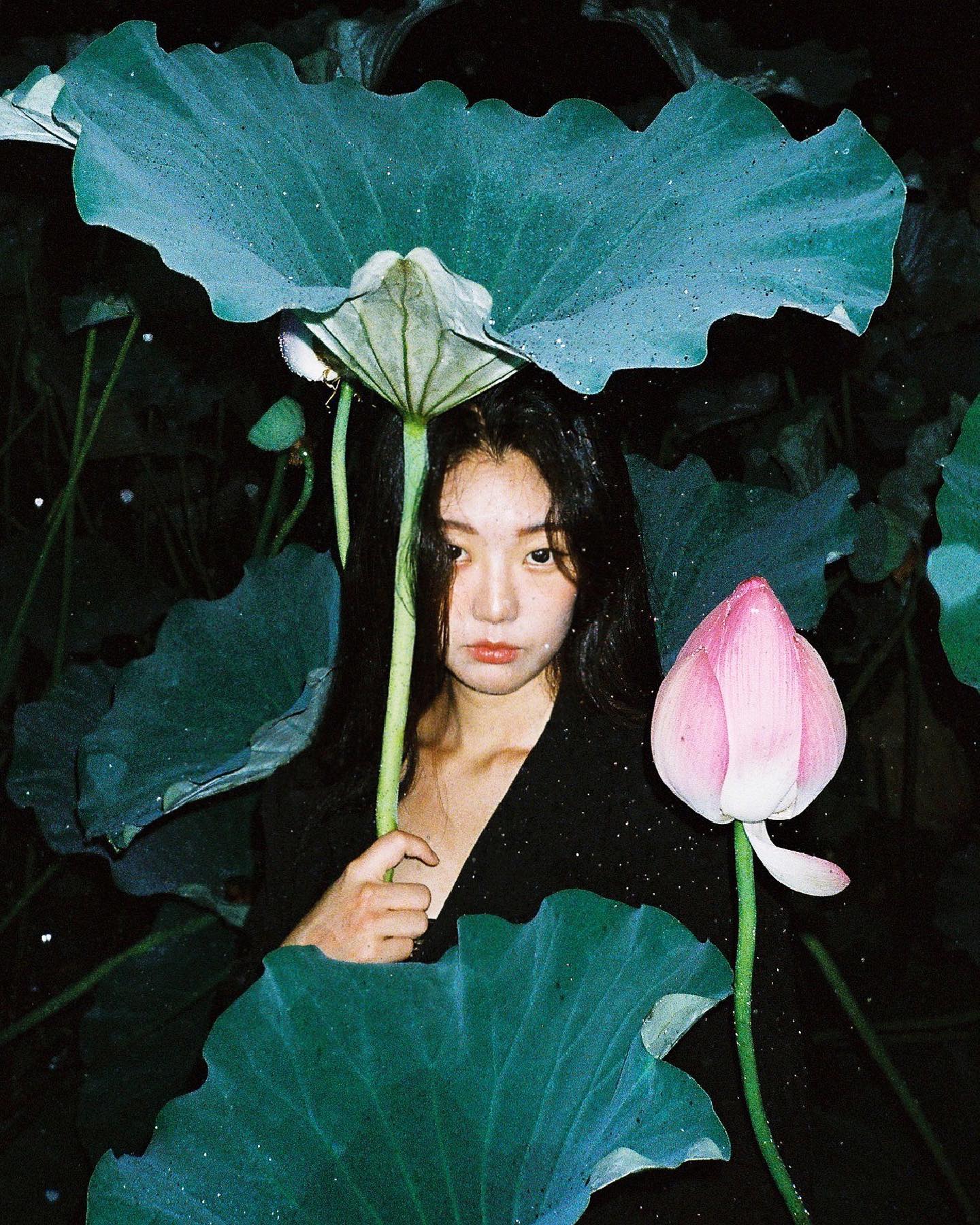 摄影师荷花写真,荷花人像写真修图