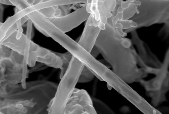 活性炭的活化方法有哪些,活性炭物理活化法