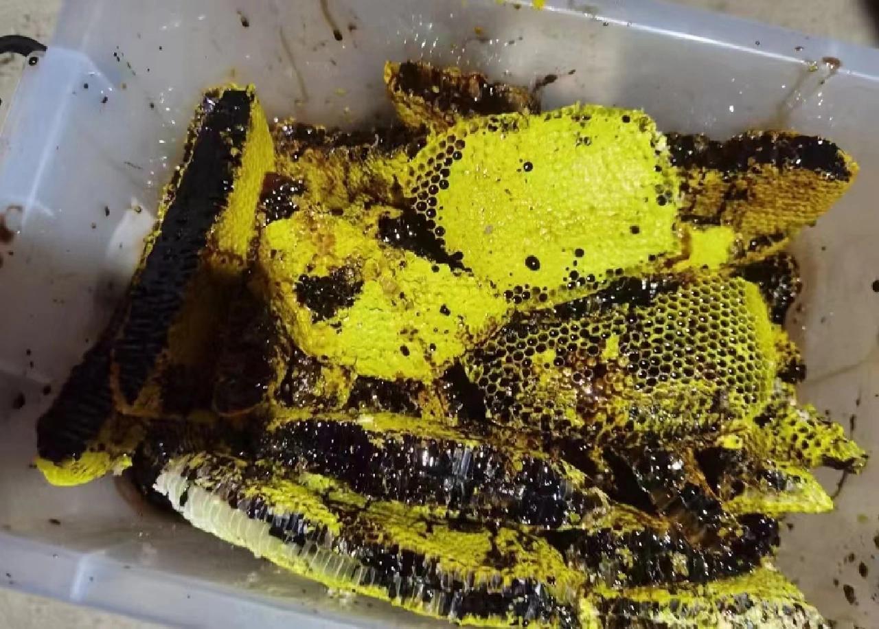 云南野生黑蜂蜜,云南黑蜂蜜到底是真是假