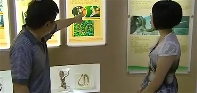 月薪300的外贸员，靠蛇毒身家暴涨50亿，美国人送悍马只为讨好她