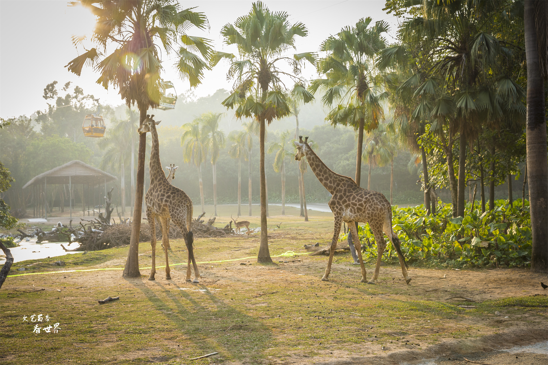 广东省旅游gdp,中国gdp旅游业占比