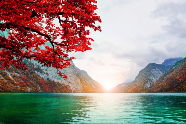 创业企业从0到1必须注重的要领