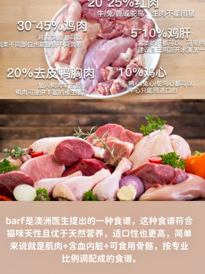 猫咪好好的为什么突然应激,猫咪好好的为什么会突然大喘气