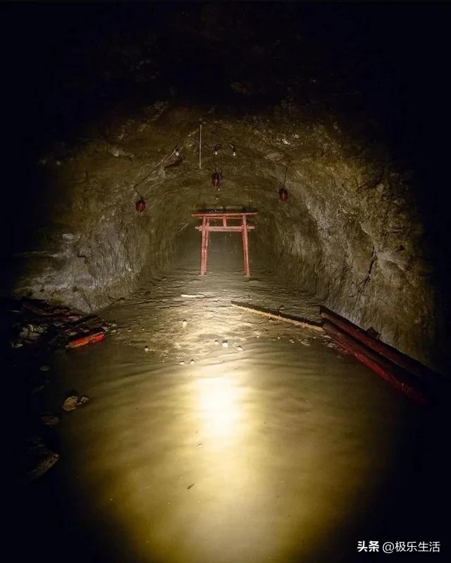 炎炎夏日给您带来视觉上的凉爽,发几张夏天炎热的图片