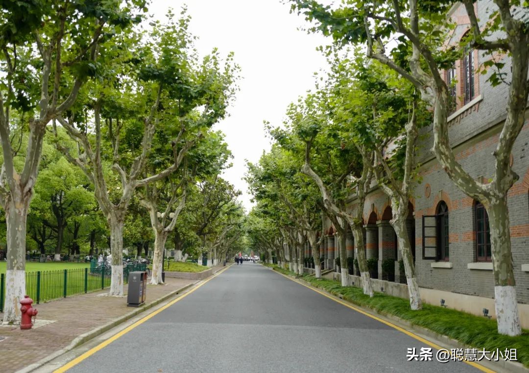 去这条充满松弛感的“小马路”，慵懒地溜达一天才是正经事