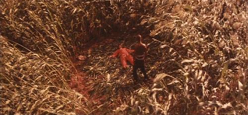 中国第六代电影导演的发展,中国电影第四代导演概况