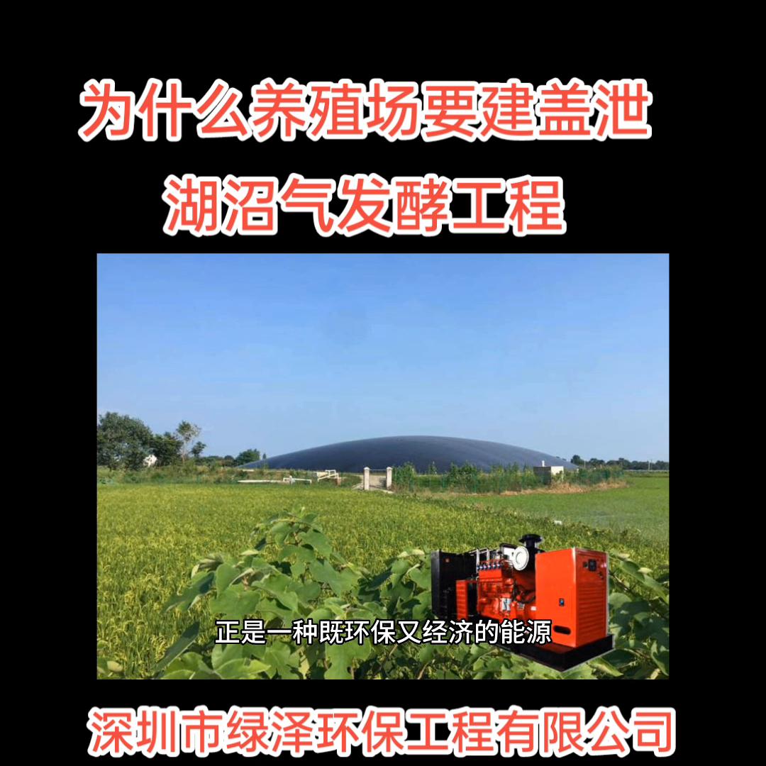 养殖场沼气发电机厂家,养殖场沼气脱硫设备