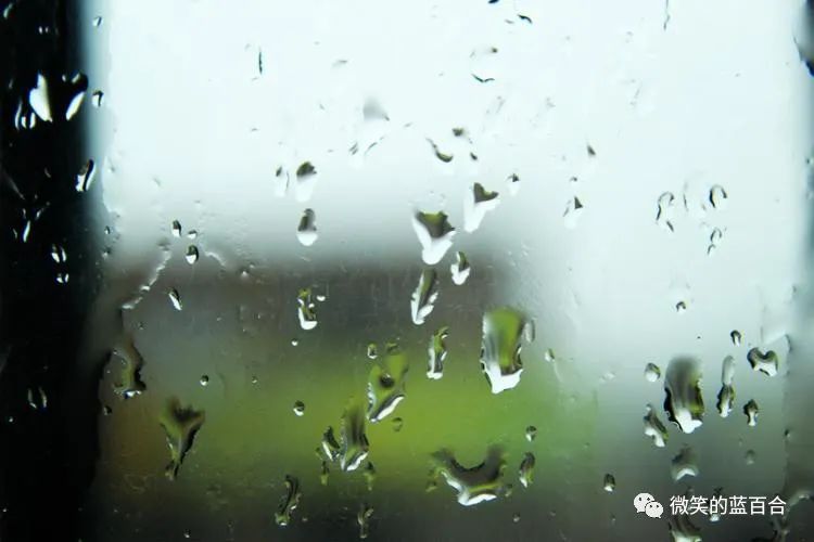 静处心安,与时清欢