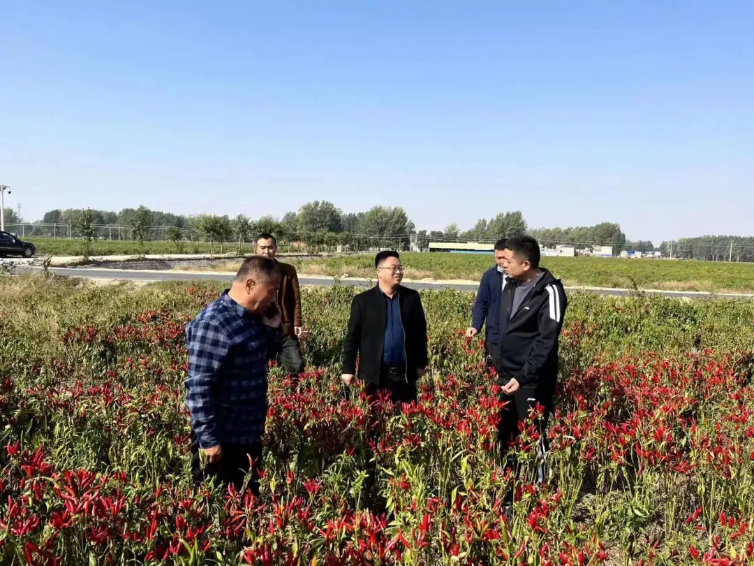 投资5000万的食品工业园,投资600亿长葛城北产业新城