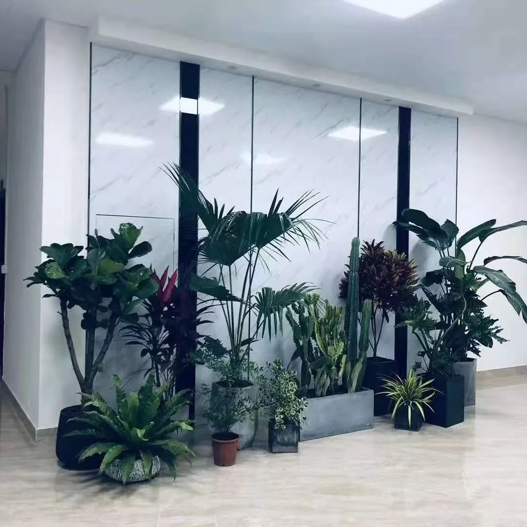 她只想回归自然，开花店却一年净利润50多万元——南宁小姐姐将理想照进了现实