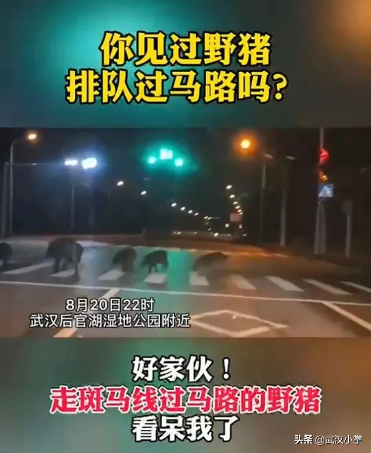 武汉必做的十件事,2017在武汉一定不可错过的10件事