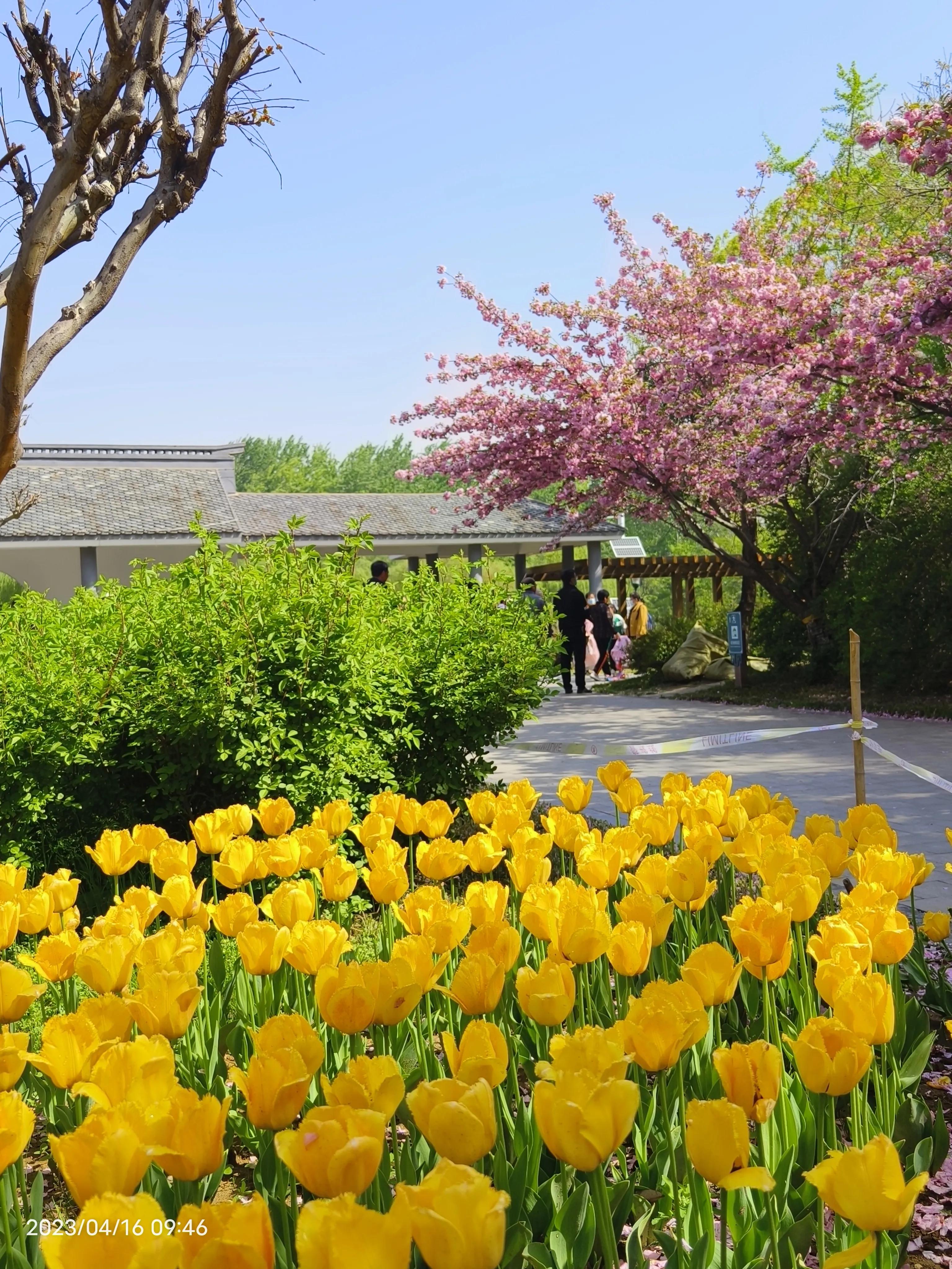 三阶魔方中间层复位口诀,魔方小站三阶魔方顶角归位