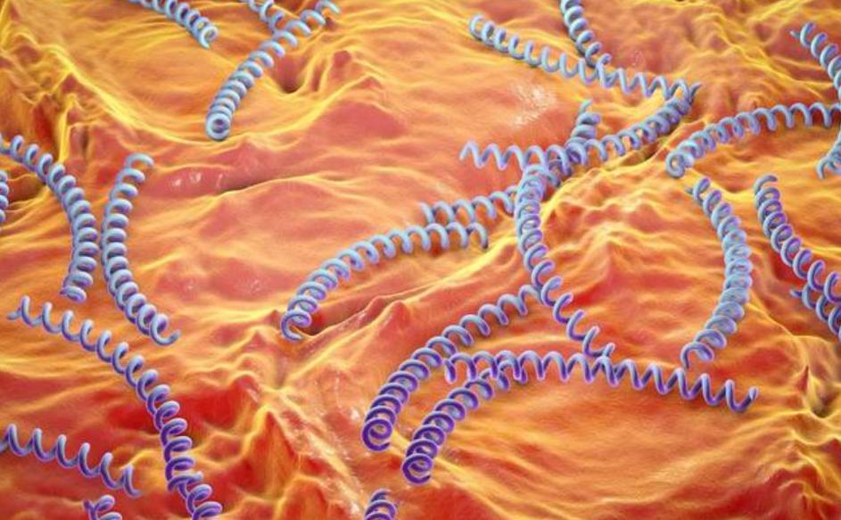 体检尿检呈阳性怎么回事,入职体检尿检有隐血怎么办