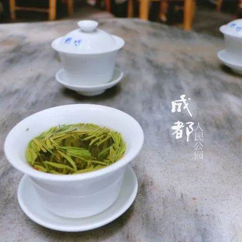 成都重庆九寨沟旅游攻略自由行,70-80岁老人旅游攻略成都