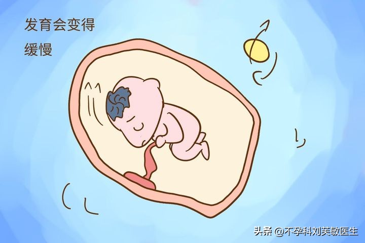 保胎之早孕期超声检查,精准保胎课程视频教程