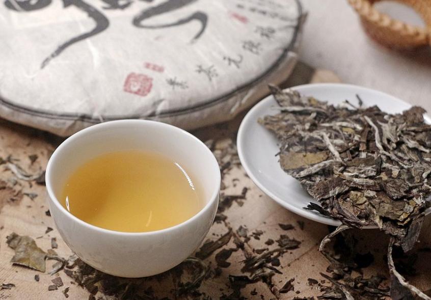 白茶的鲜爽究竟藏在哪里,白茶的迷人魅力是什么样的