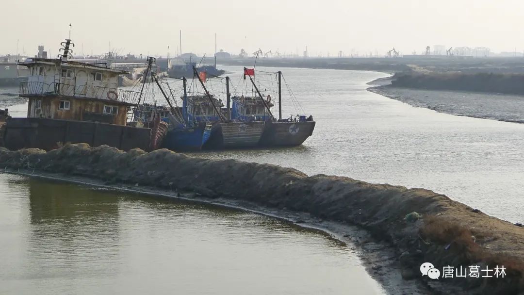 蚕沙口，一个记载着唐山海洋故事的小渔村