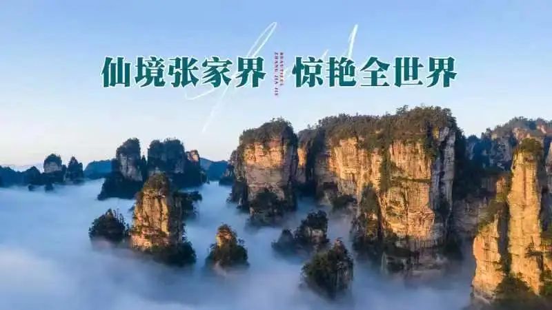 无沟双髻鲨是最大的鲨鱼吗,窄头双髻鲨可以在淡水活吗