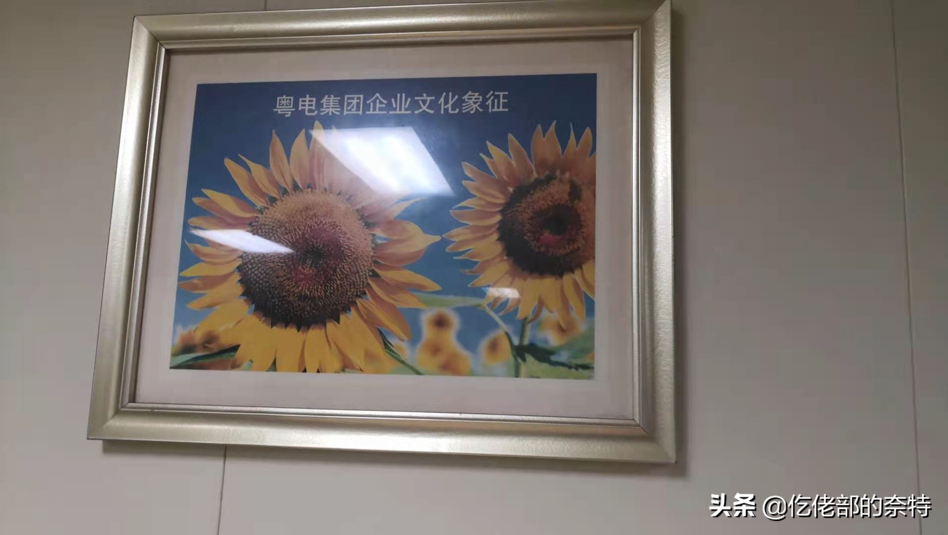 粤电之魂：原来我们都需要寻找这种有力量的组织