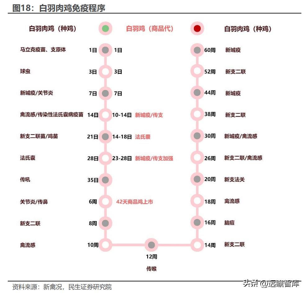 天津瑞普生物科技有限公司禽药,瑞普生物禽用疫苗公司