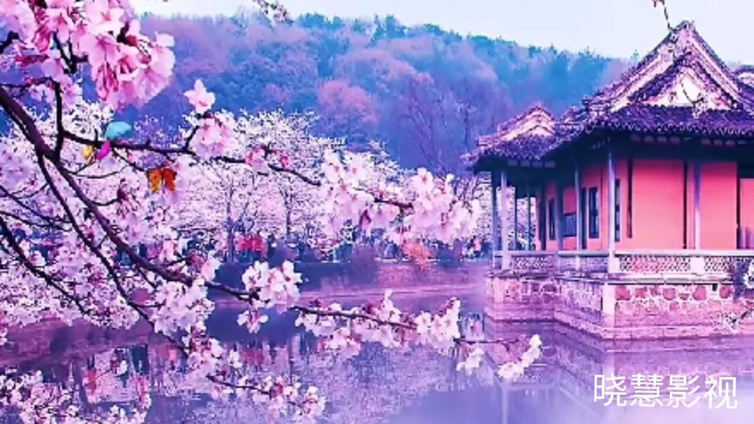 看透人生感悟图片大全,人生感悟看透爱情视频