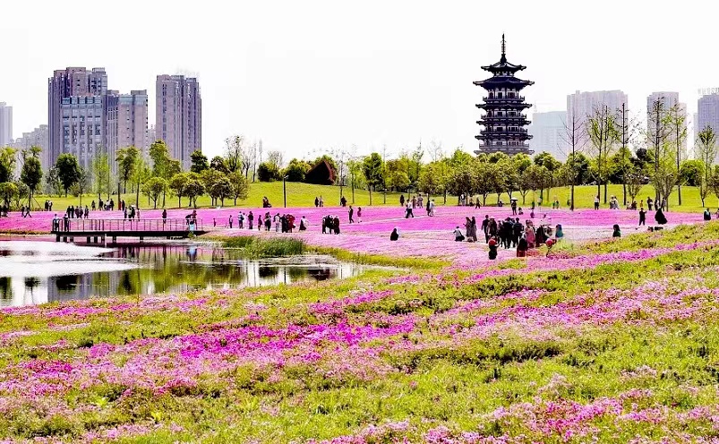 长沙冷门好吃的地方,长沙周边100公里以内小众冷门景点