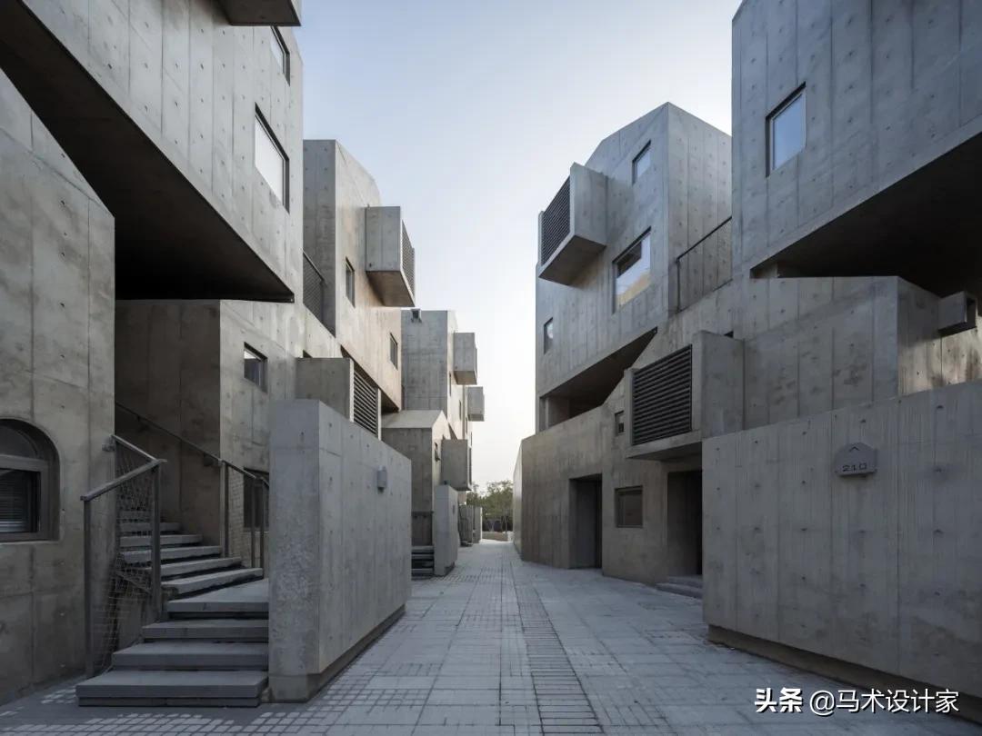 犬舍阿那亚是干什么的,阿那亚犬舍视频