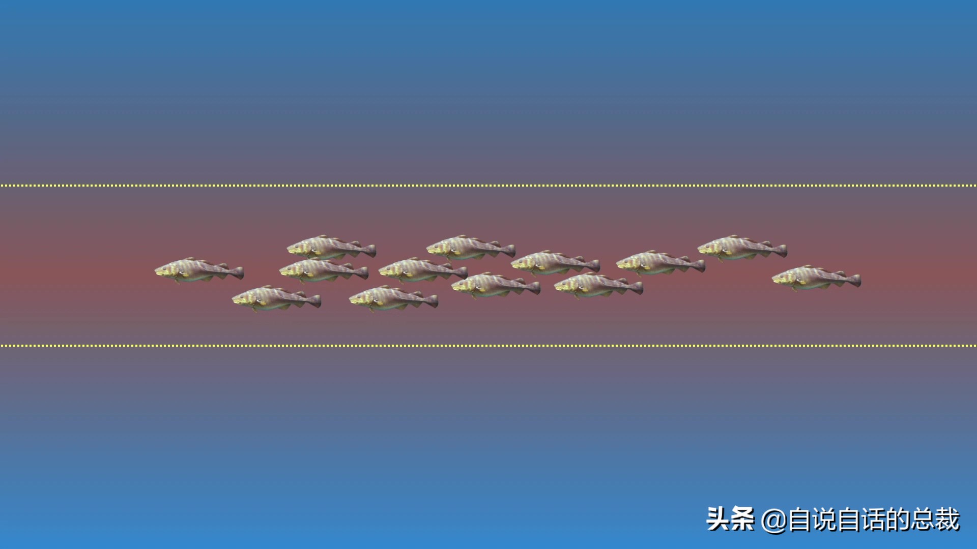 为什么买的鳕鱼段都是粘液,为什么买的鳕鱼那么多水