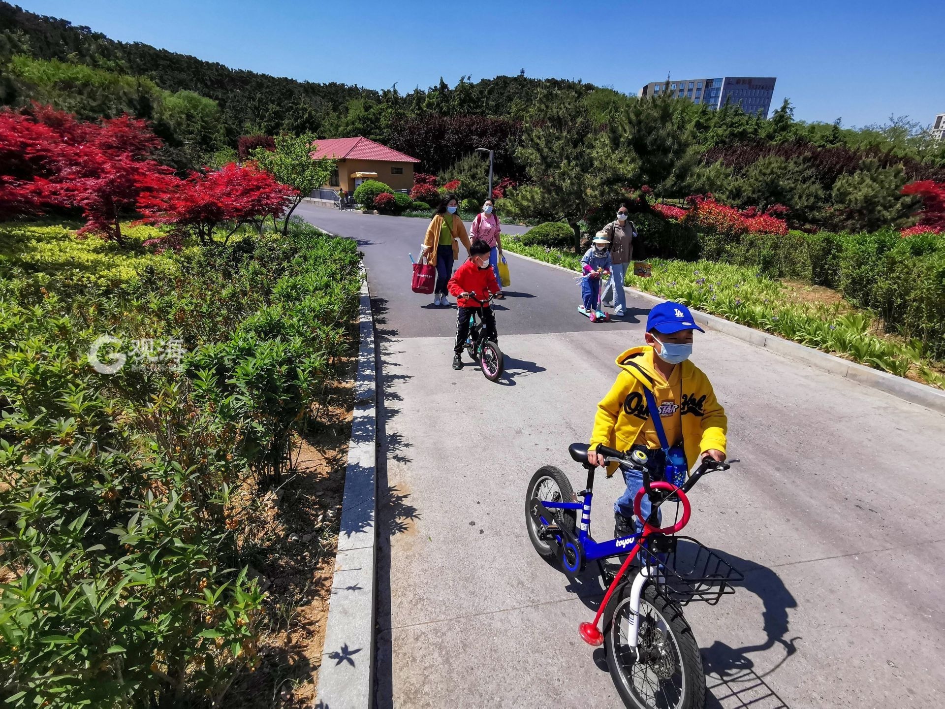 双山公园有什么好玩的,双山公园海宁