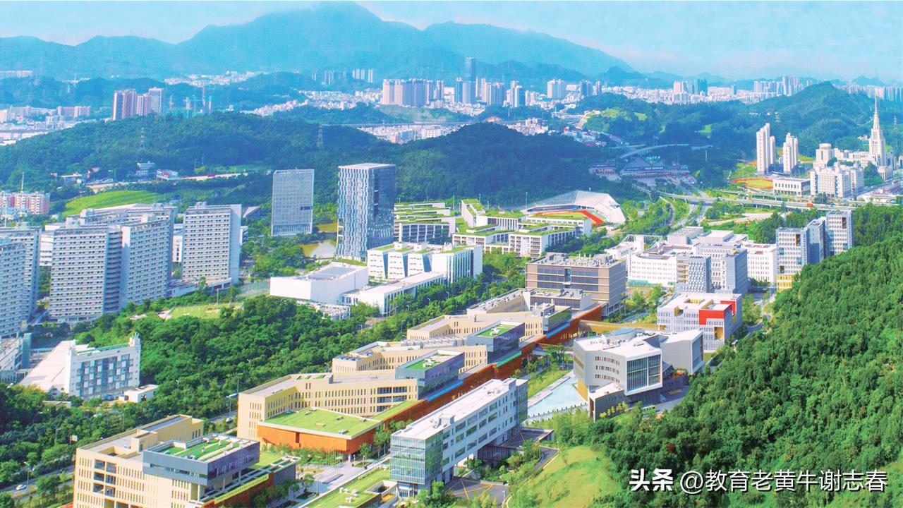 广东哪所高校分最高？金土地引来金凤凰，港中大诸名校绽放龙岗