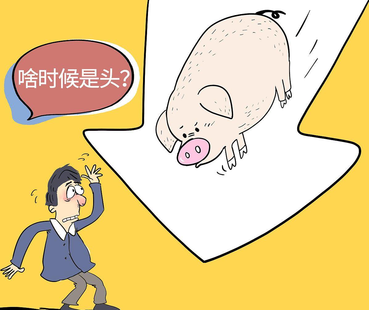“仔猪不降，猪价没好”！什么逻辑？2023年6月1日全国生猪行情
