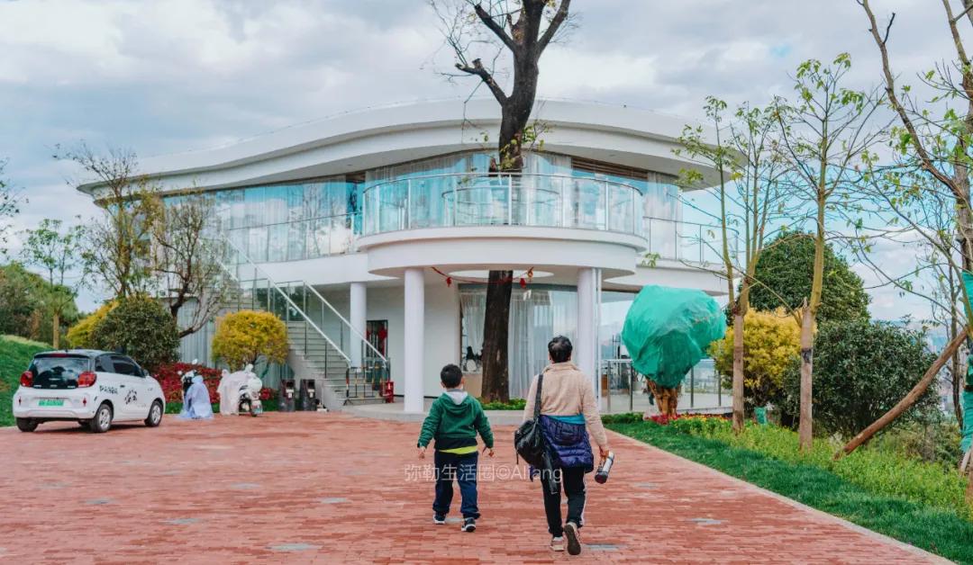 神仙树图书馆,神仙图书馆图片