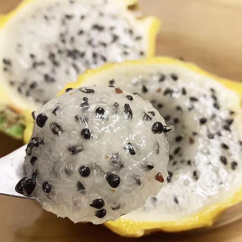 水果中的劳斯莱斯您吃过么