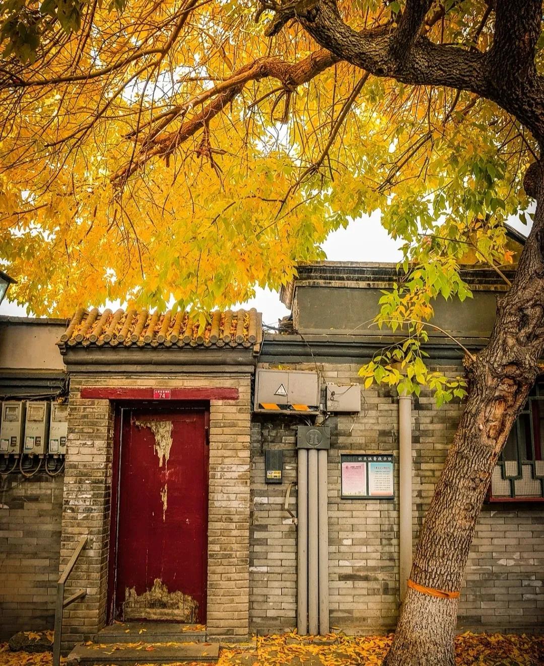 胡同逛游指南，在北京这4条胡同里邂逅别样秋色