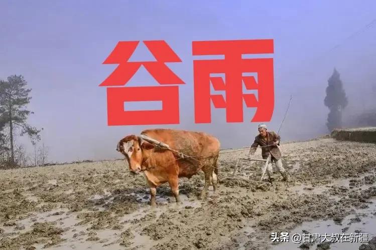 谷雨这天该注意什么,老一辈对于谷雨的说法