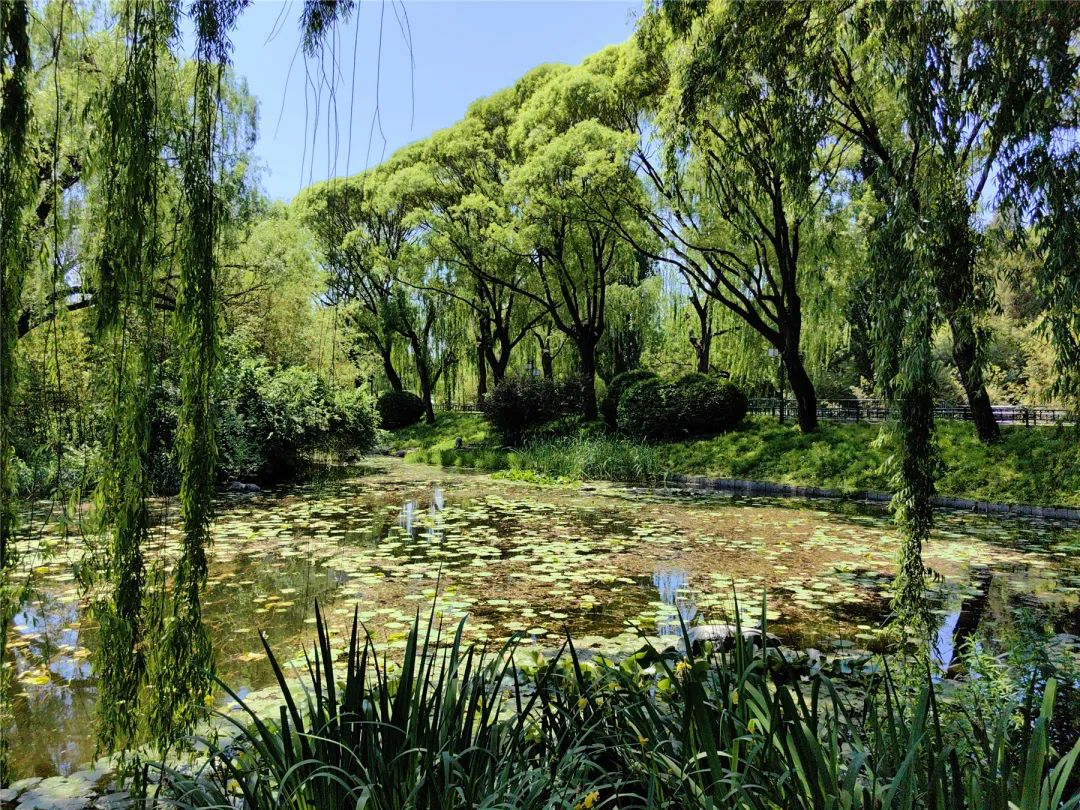 海淀旅游必去十大景点推荐,海淀区旅游免费景点推荐