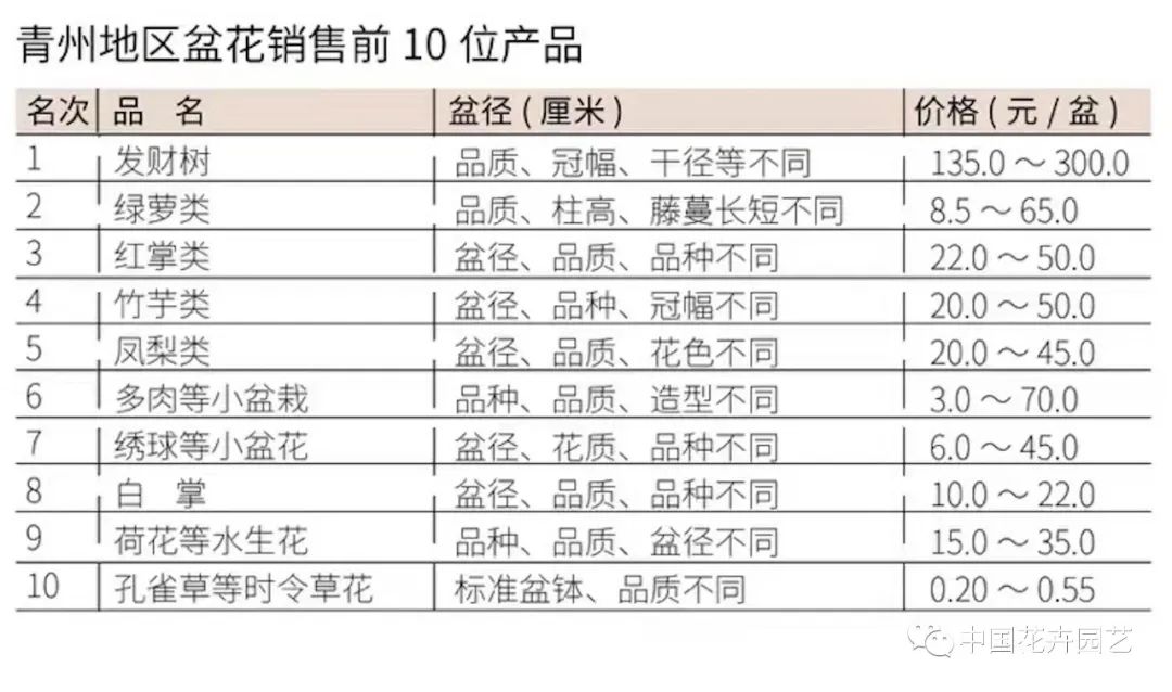 盆花批发市场价格,花卉市场盆花价格多少
