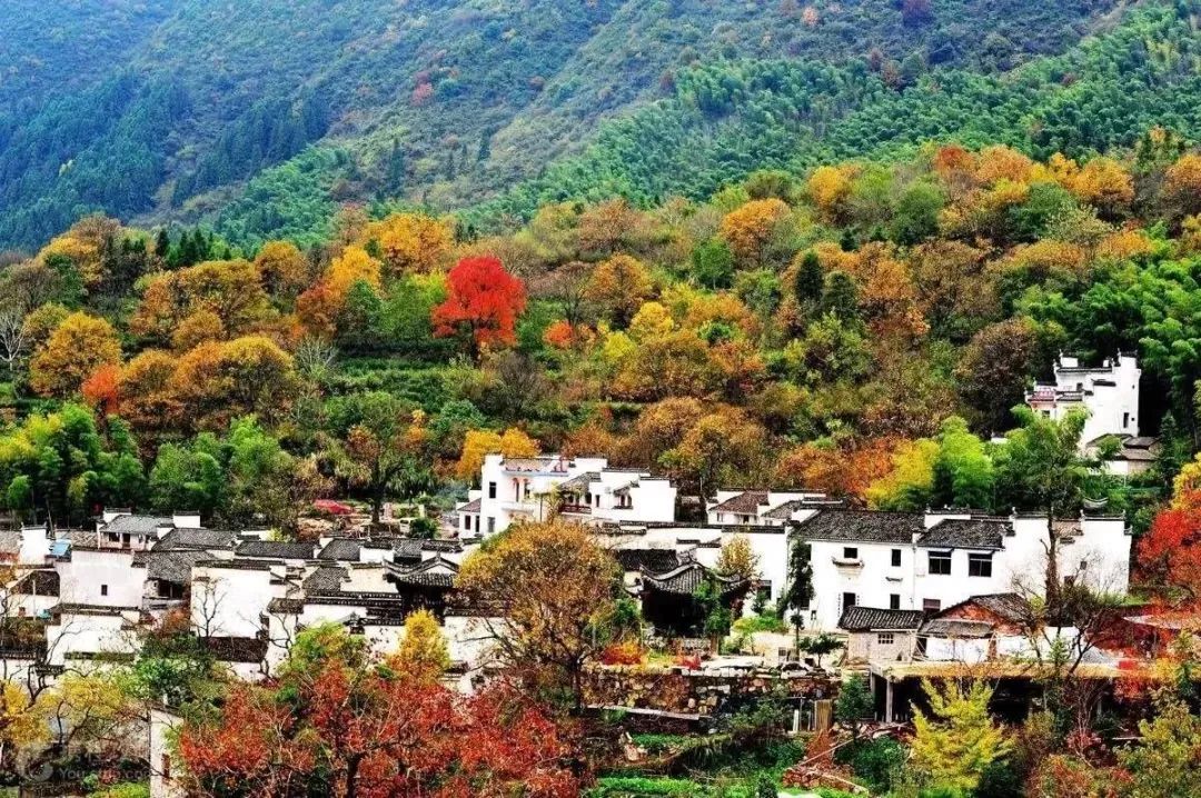 秋天落叶的诗句唯美短句,适合秋天发朋友圈的赞美秋天的诗