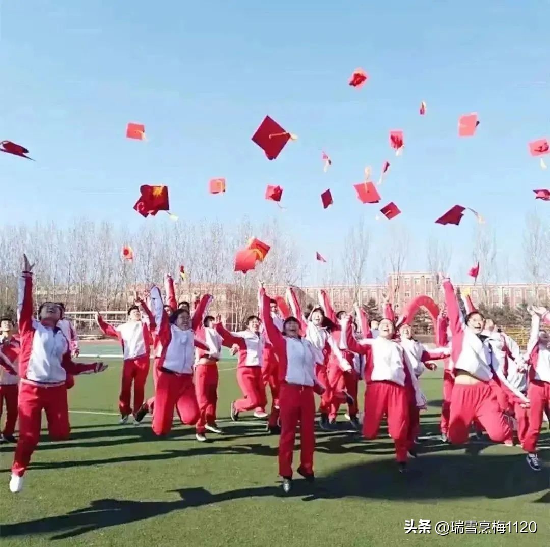 沈北新区教育问题,沈阳沈北新区教育现状