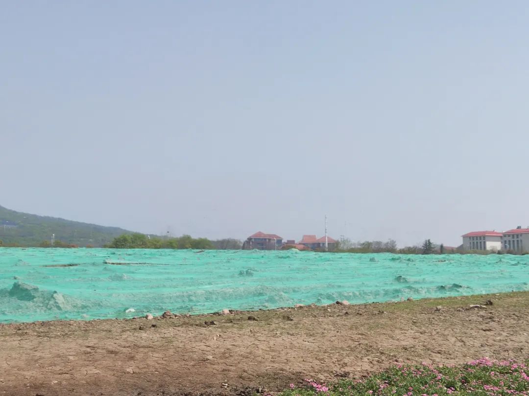 龙湖116洋房四叶草户型,南京龙湖四叶草户型