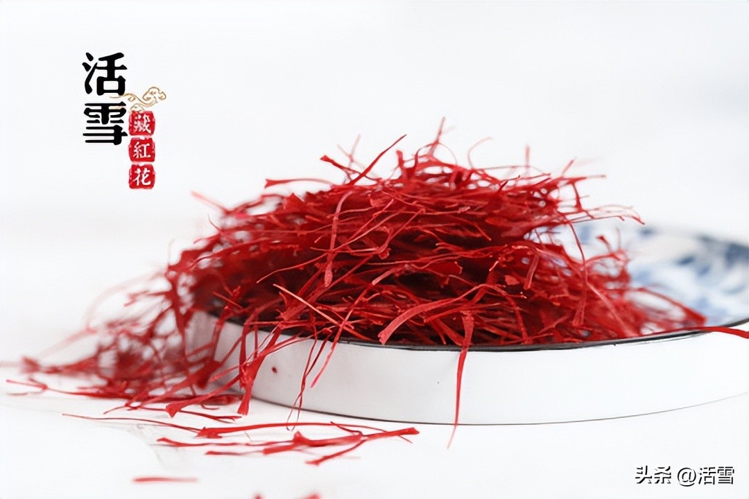 藏红花尹涛,活雪藏红花