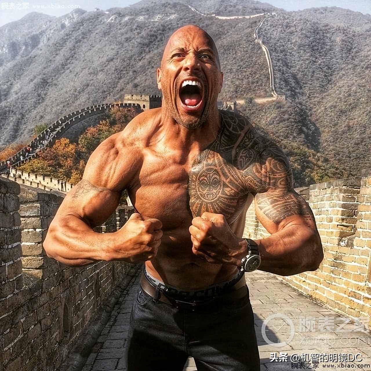 健身是一件好事吗,健身十大危险征兆