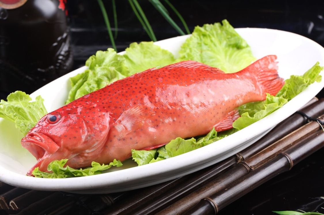 海鱼和淡水鱼的腥味,春季推荐食用的淡水鱼