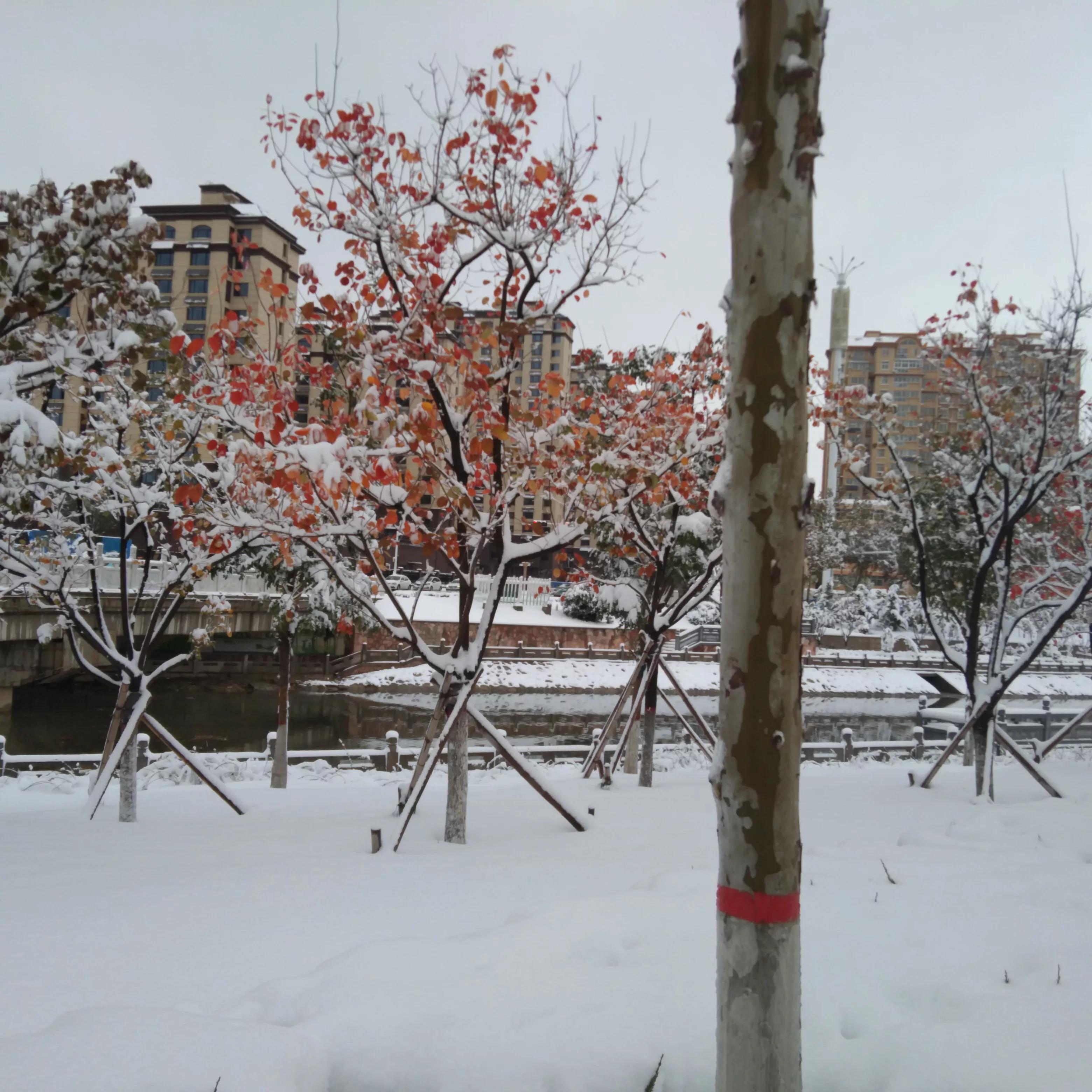 姹熷崡鐑熼洦姘翠埂椋庢櫙,娆ｈ祻缇庝附姘翠埂椋庢櫙