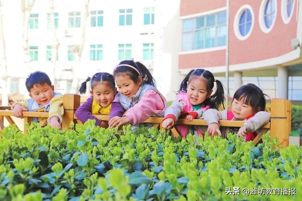 奎文新华幼儿园,潍坊新华幼儿园教育集团