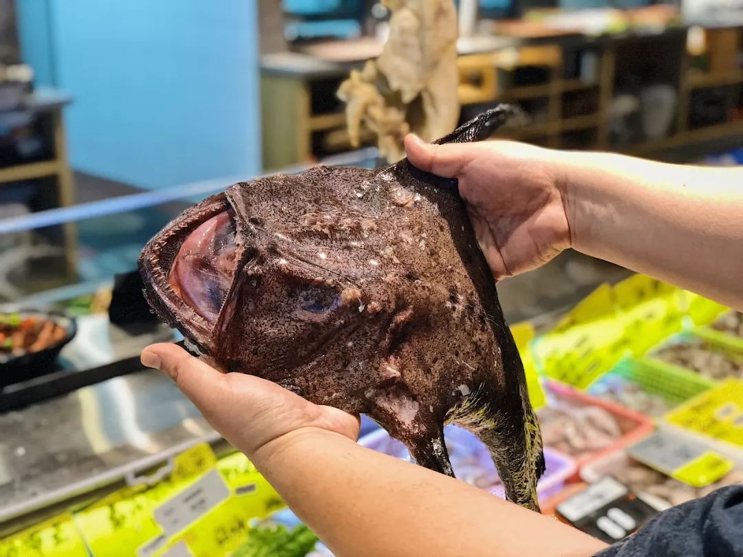 大海里的十种怪鱼,海洋里最可怕的三大怪鱼