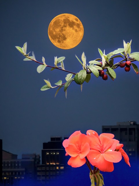 最红的10大经典老歌，听了让你瞬间回到那个年代