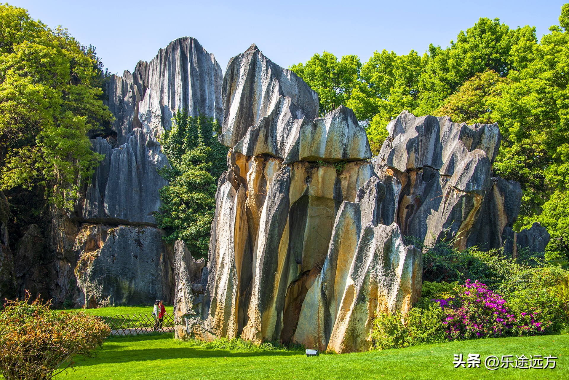 为什么一定要去云南,去昆明一定要去石林吗